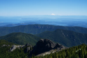 mt view1