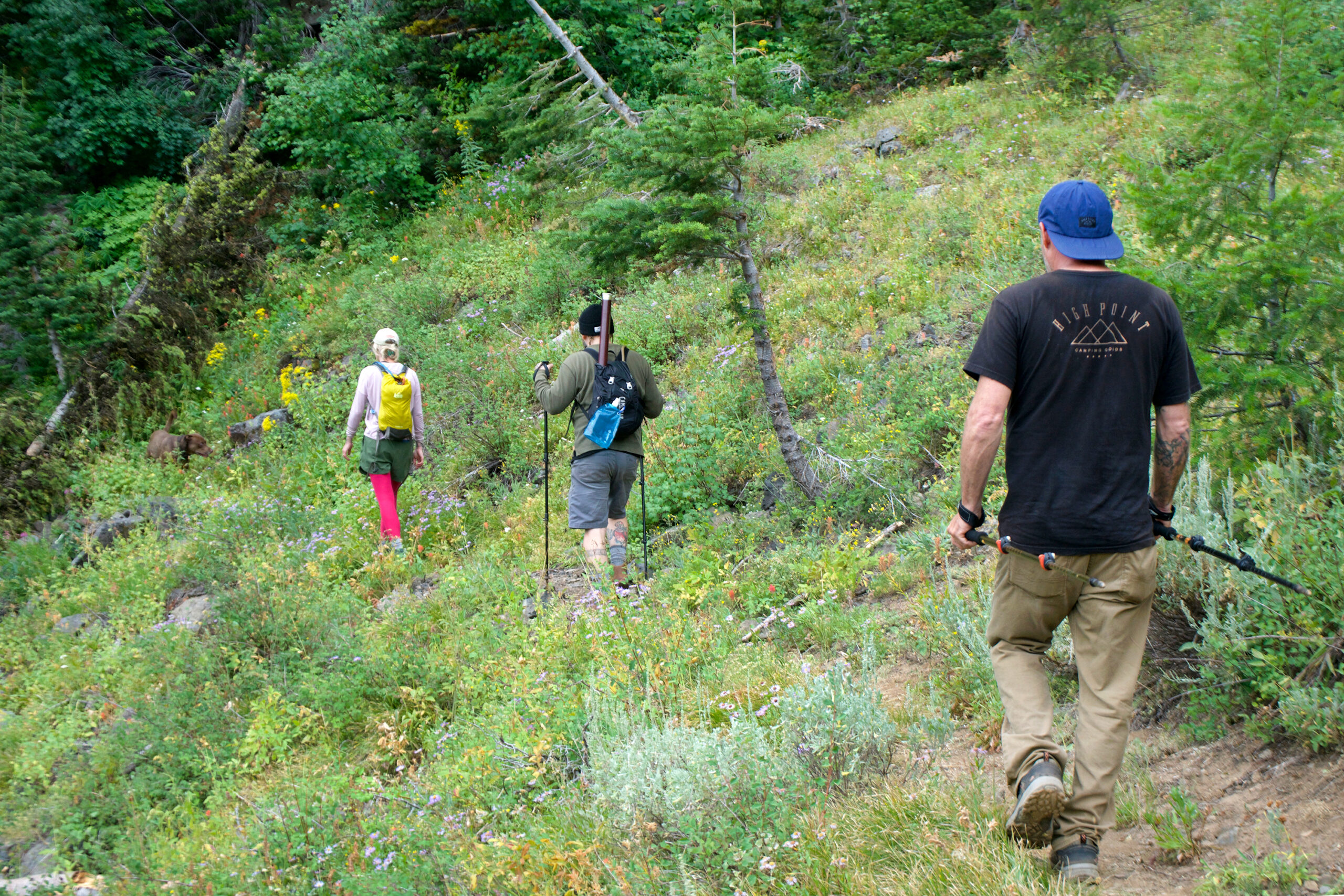 Strawberry Group Hiking Scaled